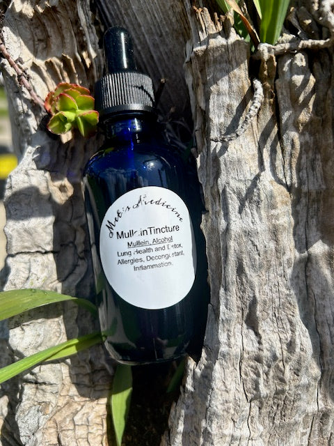 Mullein Tincture