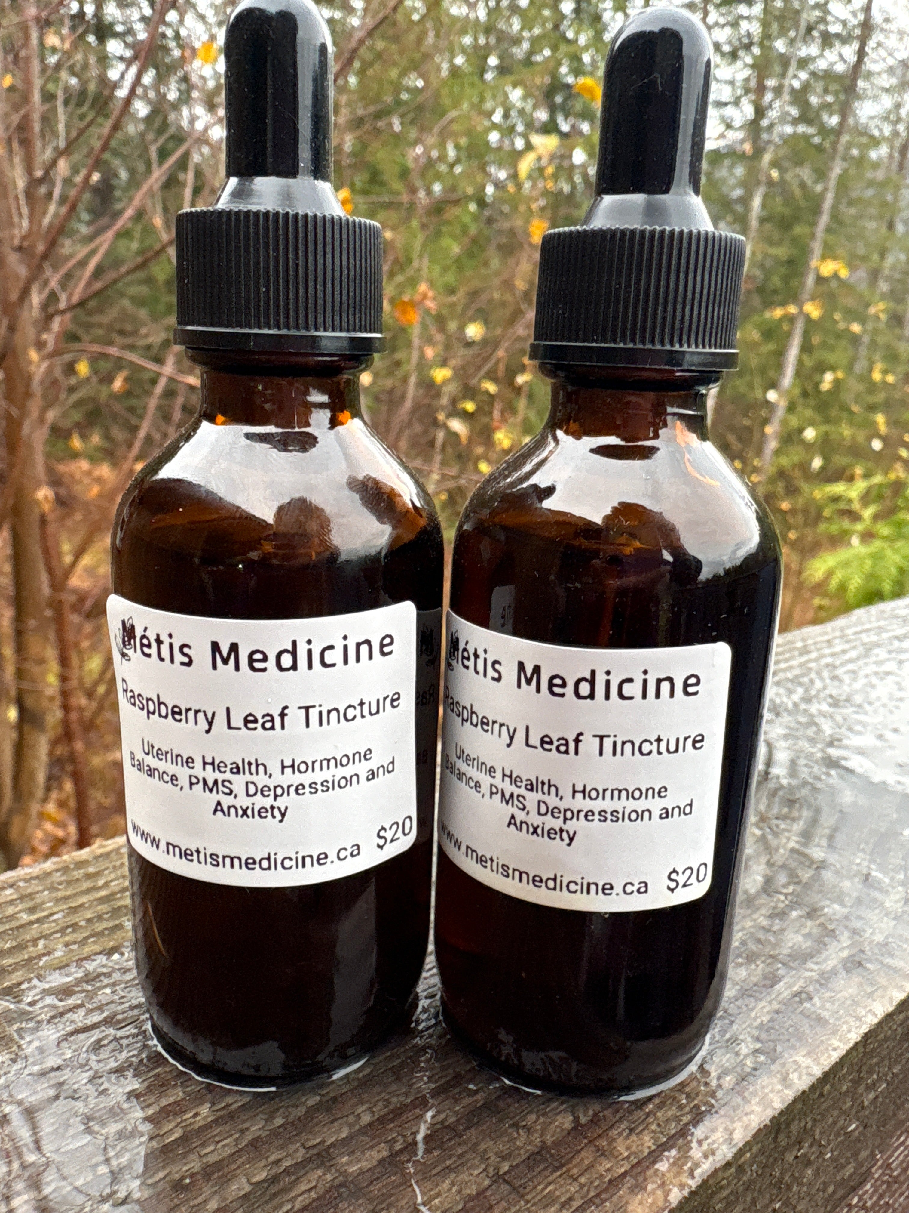Raspberry Leaf Tincture – Métis Medicine