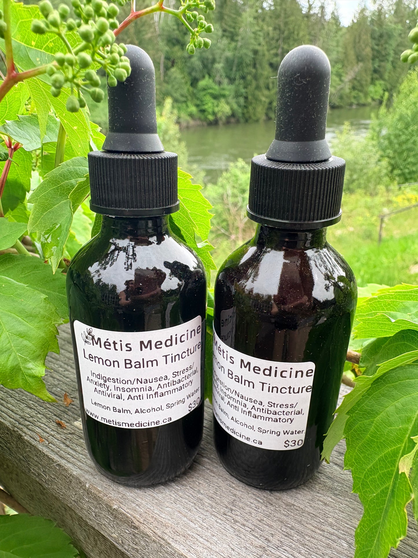 Lemon Balm Tincture