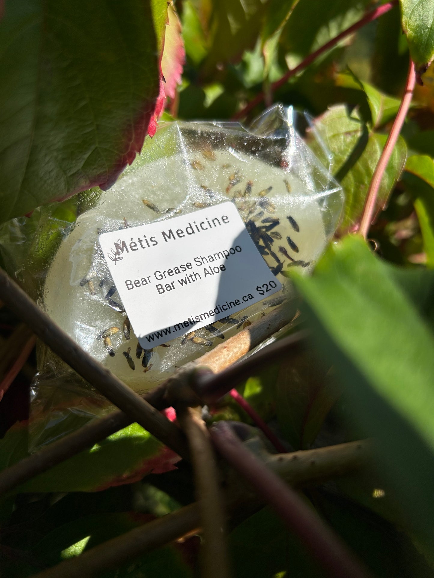 Bear Grease & Aloe Shampoo Bar