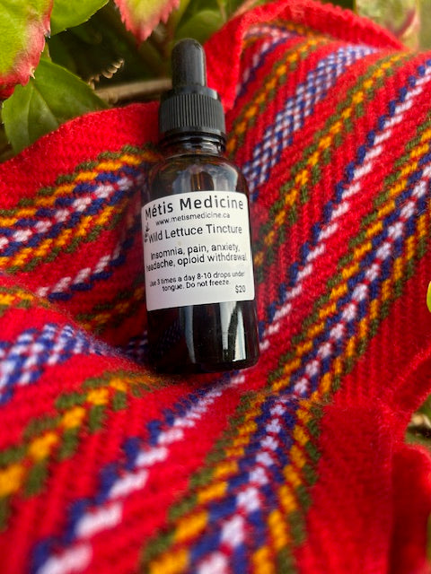Wild Lettuce Tincture 1 Ounce Bottle
