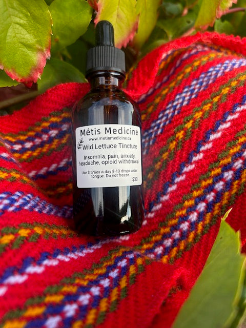 Wild Lettuce Tincture 2 Oz Bottle
